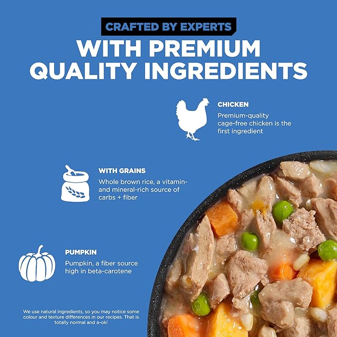 GO! SOLUTIONS Skin + Coat Care Wet Dog Food - Shredded Chicken Recipe with Grains - Complete & Balanced Nutrition for All Life Stages, 12.5 oz