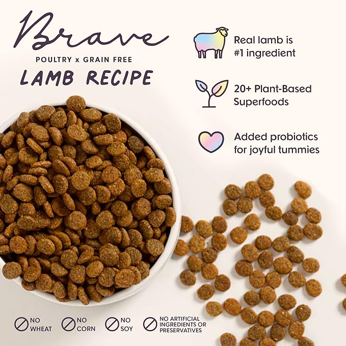 Brave Probiotic Dog Food Dry, Lamb, 4lb Bag, Natural Grain Free Adult Kibble for Digestive Health Made with Real New Zealand Lamb, 20 Plant Based Superfoods, Corn, Poultry & Soy Free