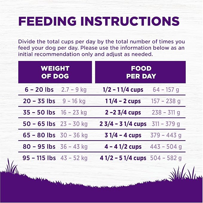 Wellness Complete Health Grain Free Adult Dry Dog Food, Chicken & Chicken Meal Recipe, 22 Pound Bag