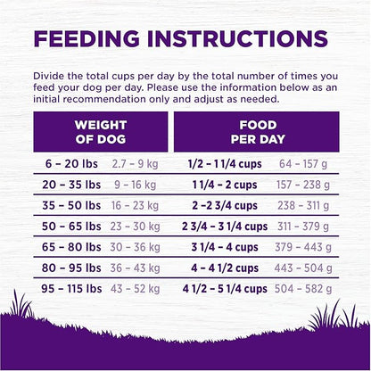 Wellness Complete Health Grain Free Adult Dry Dog Food, Chicken & Chicken Meal Recipe, 22 Pound Bag
