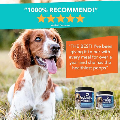 Probiotics for Dogs -(360 Scoops)-Probiotic Miracle -Advanced, Species Specific Probiotics and Prebiotics to Stop Diarrhea, Loose Stool, and Yeast-Plus Immune Support