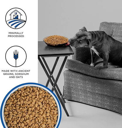 BIXBI Liberty Grain Friendly Dry Dog Food, Game Bird Feast Recipe, 22 lbs - Fresh Meat, No Meat Meal, No Fillers for Easy Digestion - USA Made