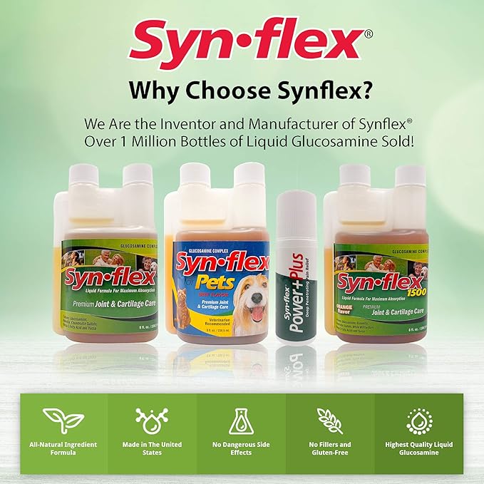 America Synflex for Pets - Liquid Glucosamine Joint Complex for Dogs, Cats - Senior Canine & Feline Chondroitin Juice Care Supplement - Helps Support Joint and Cartilage Health - Beef Flavor