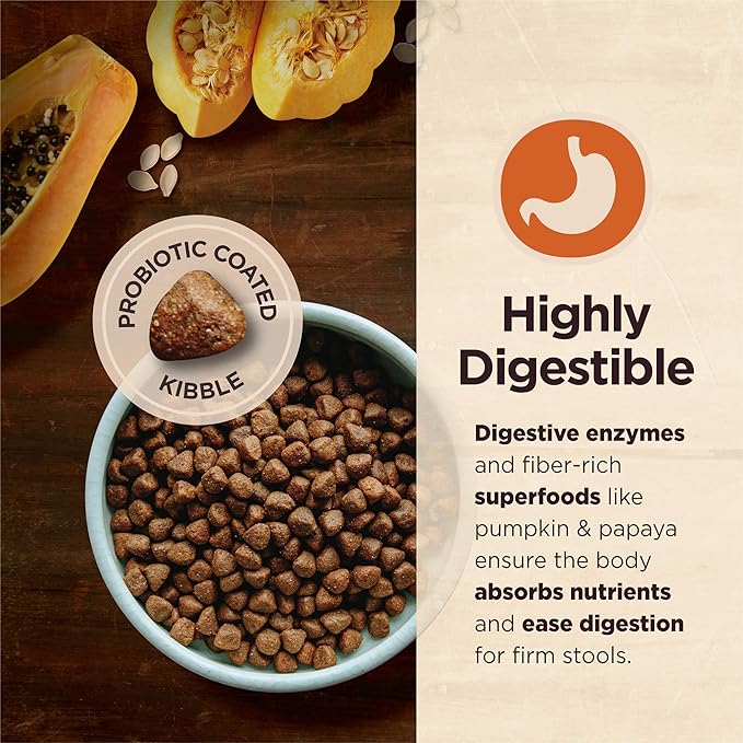 Wellness CORE Digestive Health Dry Dog Food with Wholesome Grains, Highly Digestible, for Dogs with Sensitive Stomachs, Made in USA with Real Chicken (Adult, 4-Pound Bag)