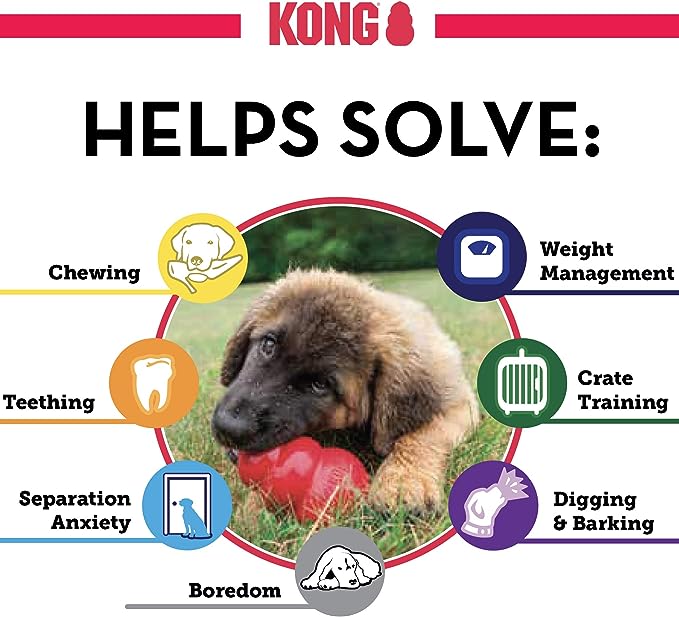 KONG - Classic and Ziggies - Dog Chew Toy with Dog Treats - for Large Dogs