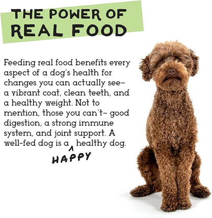 Simple Food Project The Freeze Dried Raw Dog Food Topper Featuring Organic Human Grade Ingredients [3 Pack Variety - 1oz Samples Bison, Duck and Lamb]