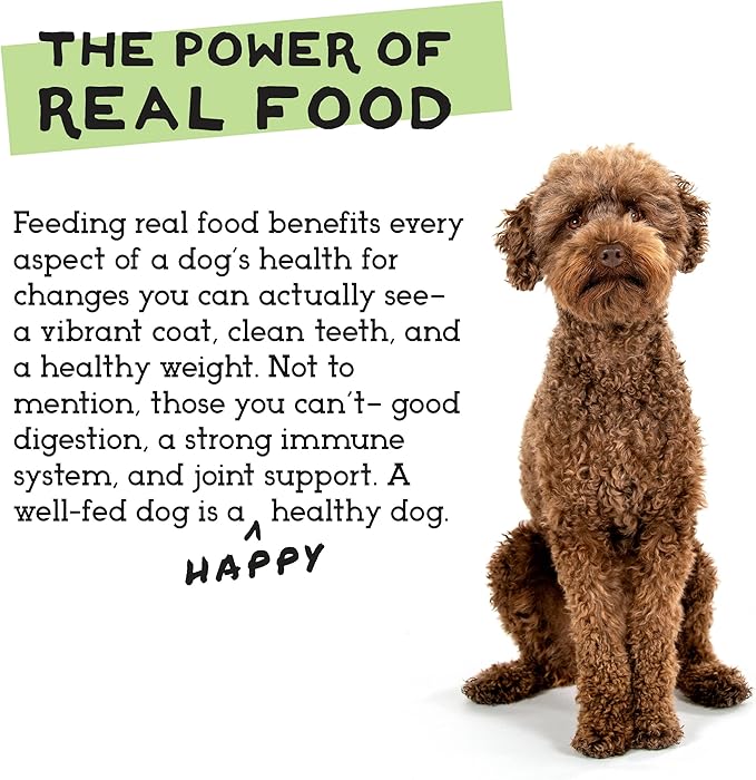 Simple Food Project The Freeze Dried Raw Dog Food Topper Featuring Organic Human Grade Ingredients [6 Pack Variety - 1oz Samples Bison, Duck, Lamb, Beef/Salmon, Duck/Trout, and Chicken/Turkey] …