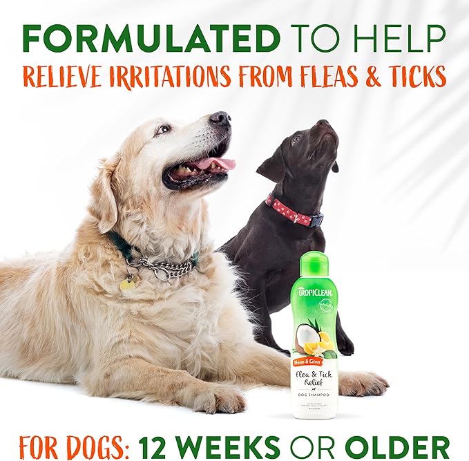 TropiClean Citrus & Neem Oil Flea Shampoo for Dogs | Tick and Flea Bite Relief for Dogs | Natural Dog Shampoo Derived from Natural Ingredients | Made in the USA | 20 oz.