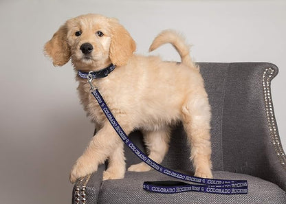 MLB PET Leash, Small, Colorado Rockies Dog Leash, Baseball Team Leash for Dogs & Cats. A Shiny & Colorful Dog & Cat Leash with Emboridered Team Name/Logo Licensed by the MLB
