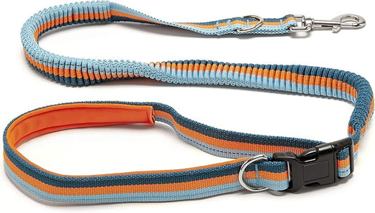 Furhaven Bungee Dog Leash w/ Quick Release Easy Tether - Sea Breeze Stripe, One Size
