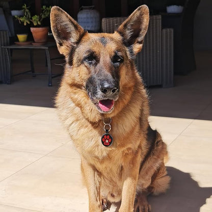 MYLUCKYTAG QR Code Pet ID Tags Dog Tags - Pet Online Profile - Scan QR Receive Instant Pet Location Alert Email