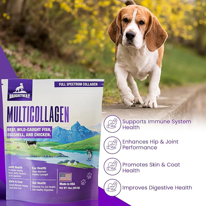 Multi-Collagen Peptide Dog Joint Supplement for Dogs- Arthritis Support- Skin & Coat Health, Allergies, Dog Mobility Hip & Joint Pain Supplement Relief, Collagen for Dogs