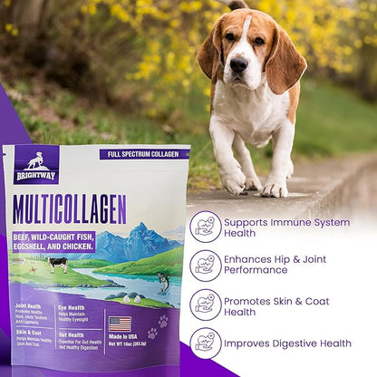 Multi-Collagen Peptide Dog Joint Supplement for Dogs- Arthritis Support- Skin & Coat Health, Allergies, Dog Mobility Hip & Joint Pain Supplement Relief, Collagen for Dogs