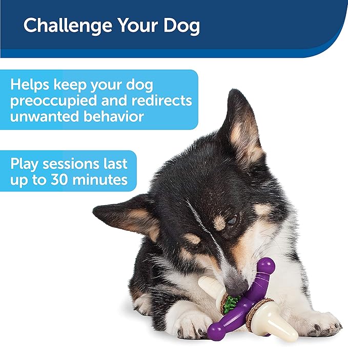PetSafe Busy Buddy Treat Holding Jack Dog Toy – Strong Chewers - Challenging - Treat Rings Included - Small