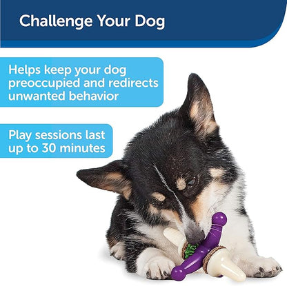 PetSafe Busy Buddy Treat Holding Jack Dog Toy – Strong Chewers - Challenging - Treat Rings Included - Small