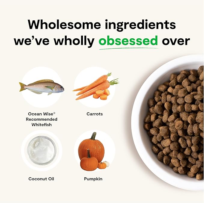 Open Farm Catch-of-The-Season Whitefish Grain-Free Dry Dog Food, Sustainably Caught Fish Recipe with Non-GMO Superfoods and No Artificial Flavors or Preservatives, 4 lbs
