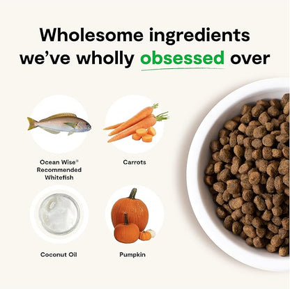 Open Farm Catch-of-The-Season Whitefish Grain-Free Dry Dog Food, Sustainably Caught Fish Recipe with Non-GMO Superfoods and No Artificial Flavors or Preservatives, 4 lbs