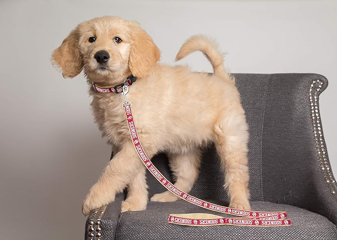 Pets First Collegiate Pet Accessories, Dog Leash, Oklahoma Sooners, Medium