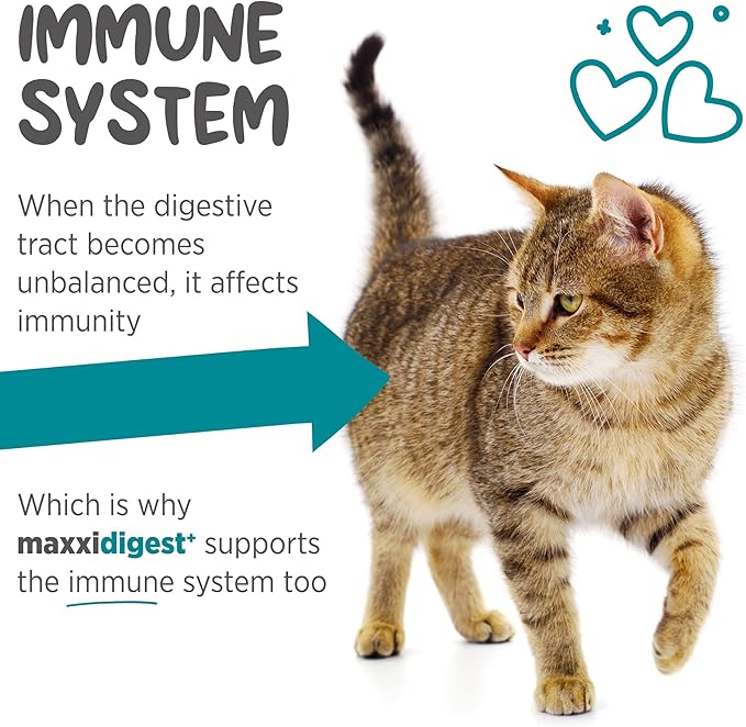 maxxidigest+ Probiotics, Prebiotics and Digestive Enzymes - Digestive and Immune Support Supplement for Cats – 3.2 oz