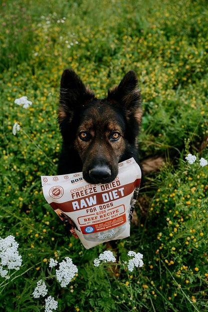 Boss Dog Complete & Balanced Freeze Dried Raw Diet for Dogs, Beef Recipe, 12 oz Bag (Bag of 2)