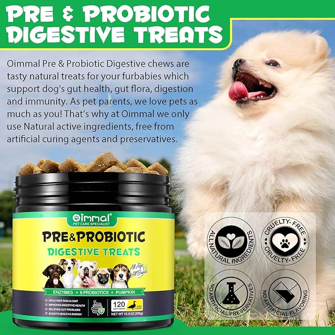 Probiotics for Dogs, Digestive Probiotic Chews for Dogs, Dog Probiotics and Digestive Enzymes, Support Gut Health, Improve Digestion, Immunity, Reduce Diarrhea, Gas - 120 Dog Supplement Chews