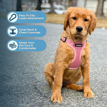 Best Pet Supplies Voyager Adjustable Dog Harness Leash Set with Reflective Stripes for Walking Heavy-Duty Full Body No Pull Vest with Leash D-Ring, Breathable All-Weather - Harness (Pink), XL