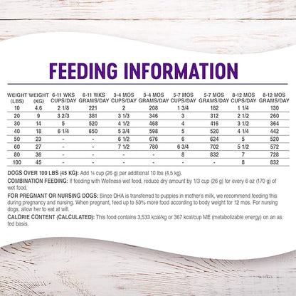Wellness Complete Health Large Breed Dry Dog Puppy Food with Grains, Natural Ingredients, Made in USA with Real Meat (Puppy, Chicken, Salmon & Rice, 30-Pound Bag)