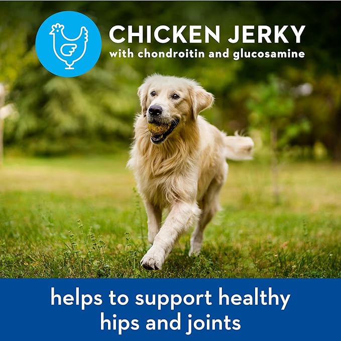 Spot Farms Chicken Jerky Healthy All Natural Dog Treats Human Grade For Hip And Joint 12 oz
