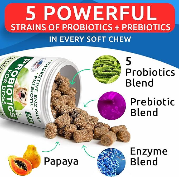 BARK&SPARK Dog Probiotics & Digestive Enzymes (Gut Health) Allergy & Itchy Skin - Pet Diarrhea Gas Treatment Upset Stomach Relief, Digestion Health Prebiotic Supplement Large Dog Treats (240Ct Bacon)