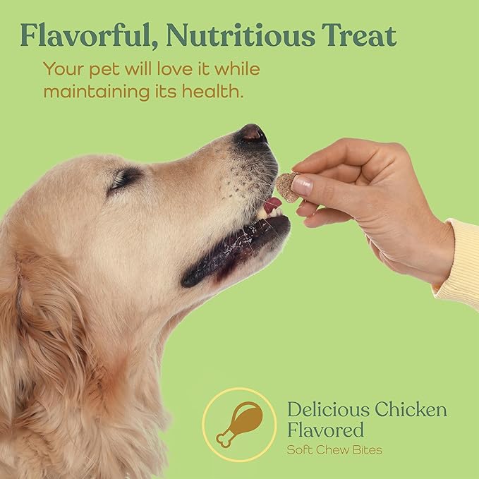Advanced Dog Joint Supplement - Nutritious Treat Hip and Joint Chews for Dogs - Joint Supplement for Dogs with Glucosamine, Chondroitin, & MSM + Vitamins C for Dog Joint Relief - Chicken - 90 Count