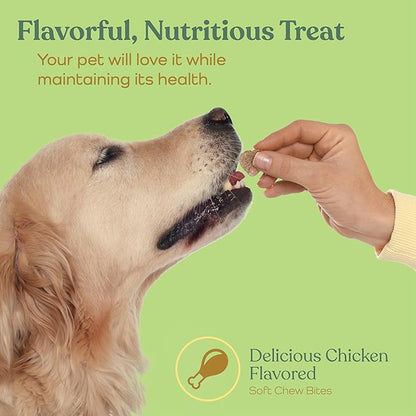 Advanced Dog Joint Supplement - Nutritious Treat Hip and Joint Chews for Dogs - Joint Supplement for Dogs with Glucosamine, Chondroitin, & MSM + Vitamins C for Dog Joint Relief - Chicken - 90 Count