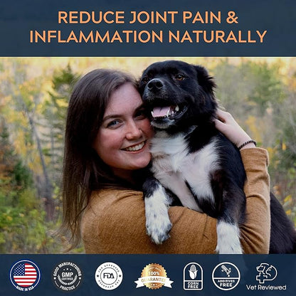 Pure Dogs Hip & Joint Supplement for Large Breed & Small Breed - Dog Joint Pain Relief Chews for Function & Mobility - Glucosamine Chondroitin for Dogs Gut & Digestive Support - 90 Dog Joint Chews