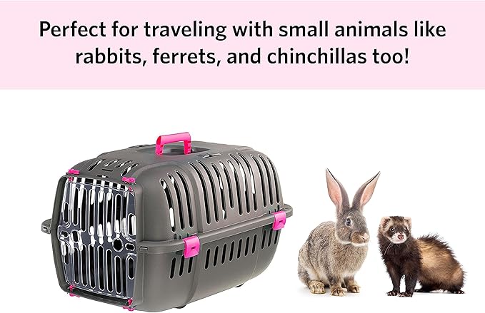 Ferplast Jet Pet Carrier: Value Dog Carrier Suitable for Toy Dog Breeds & Small Cats, Assembled Dimensions: 12.6L x 18.5W x 11.42H inches, Fuchsia