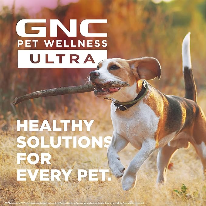 GNC Pets Ultra Seasonal Immune Support, All Dogs, Chicken Flavor.(2.2g) Soft Chews | Immune Booster for Dogs in Chicken Flavored Chews 60 Count FF13838