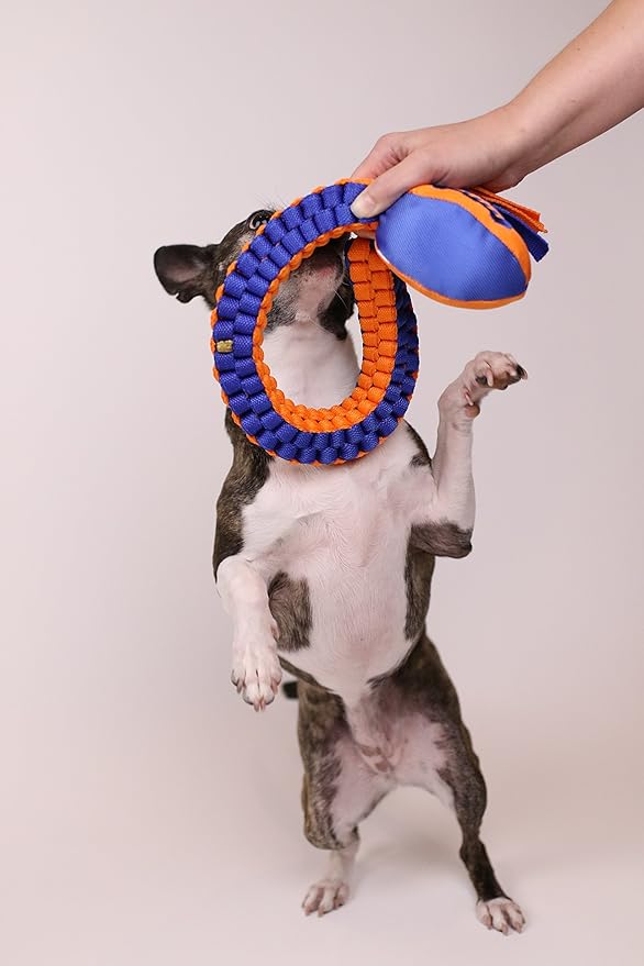 Nerf Dog Vortex Chain Tug Dog Toy with Squeaker Football Head, Lightweight, Durable, Water Resistant, 30 Inches, For Medium to Extra-Large Breeds, Single Unit (3474)
