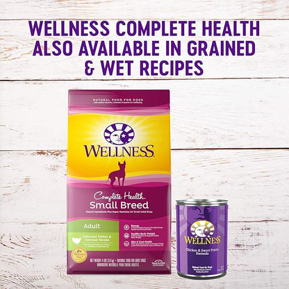 Wellness Complete Health Grain-Free Small Breed Dry Dog Food, Natural Ingredients, Made in USA with Real Turkey, For All Lifestages (Turkey, Chicken & Salmon, 4-Pound Bag)