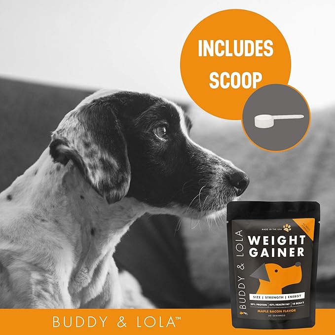 Buddy & Lola Dog Weight Gainer - Dog Supplement for Weight Gain - Dog Protien Powder for Max Muscle Builder, High Calorie supplement for All Dogs & Breeds inc Bully. Pro Food Topper - Made in The USA
