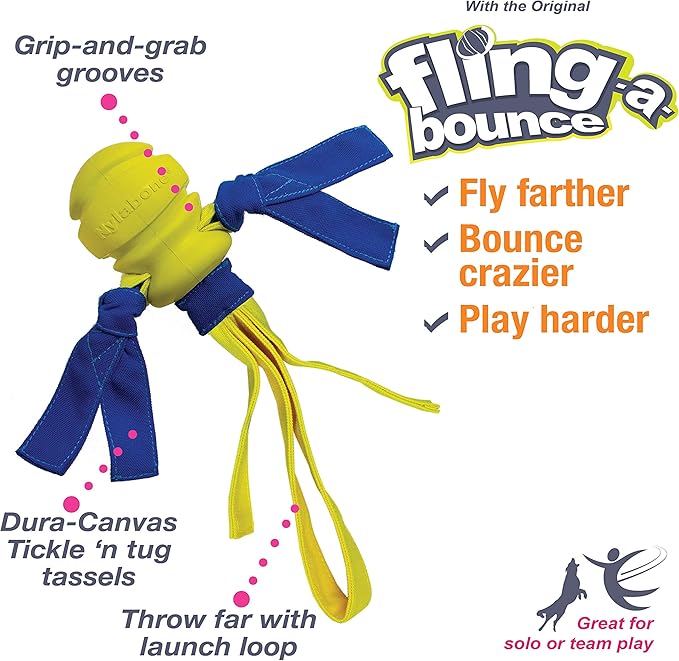 Nylabone Power Play Dog Fetch Toys Fling-a-Bounce Medium (1 Count)