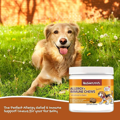 Herbion Pets Allergy + Immune Chews with Kelp & Vitamin C, 120 Soft Chews - Supports Immunity, Skin and Coat Health - Relieves Itchy Skin - Made in USA - Natural Vegetable Flavor - for Dogs 12 Weeks+