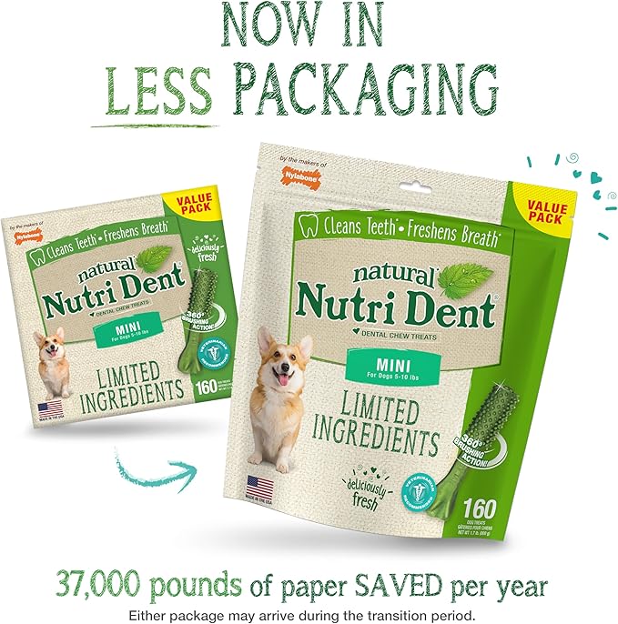 Nylabone Nutri Dent Dog Dental Treats - Natural Dog Teeth Cleaning & Breath Freshener - Dental Treats for Dogs - Fresh Breath Flavor, Mini (160 Count)
