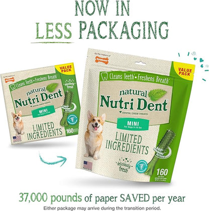 Nylabone Nutri Dent Dog Dental Treats - Natural Dog Teeth Cleaning & Breath Freshener - Dental Treats for Dogs - Fresh Breath Flavor, Mini (160 Count)