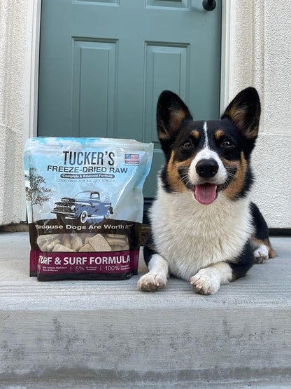 Tucker's Raw Frozen Freeze Dried Raw Dog Food, Turf & Surf Formula 14oz