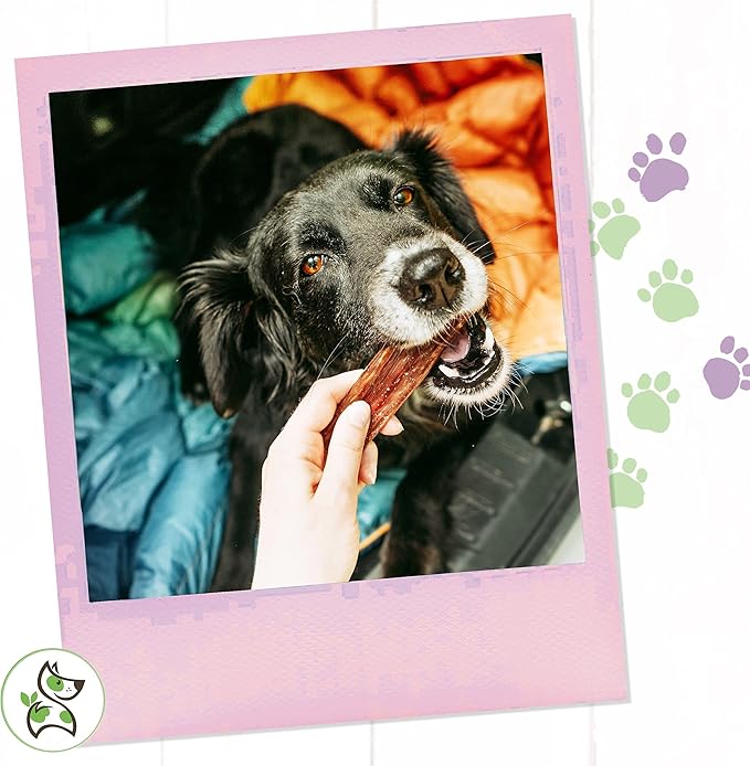 Nature Gnaws - Beef Jerky Chews for Small Dogs - Premium Natural Beef Gullet Sticks - Simple Single Ingredient Tasty Dog Chew Treats - Rawhide Free - 4-5 Inch