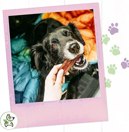 Nature Gnaws - Beef Jerky Chews for Small Dogs - Premium Natural Beef Gullet Sticks - Simple Single Ingredient Tasty Dog Chew Treats - Rawhide Free - 4-5 Inch