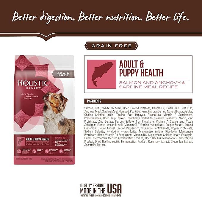 Holistic Select Natural Grain Free Dry Dog Food, Adult & Puppy Salmon, Anchovy & Sardine Recipe, 4-Pound Bag