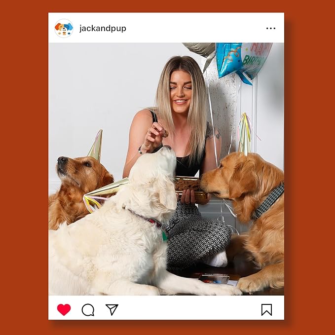 Jack&Pup Bark Burgers Chicken Bites Dog Gifts | Holiday, Adoption, Dog Birthday Treats in Classy Tin | Jerky Dog Treats (12oz Bites)