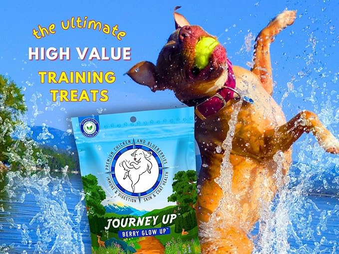 Journey Up Berry Glow Up, Chicken and Blueberry Dog Jerky Treats Made in USA with Prebiotics for Gut & Immune, Omega 3s & 6s for Skin & Coat, Antioxidants for Healthy Aging, Small-Large Dog, 12 oz.