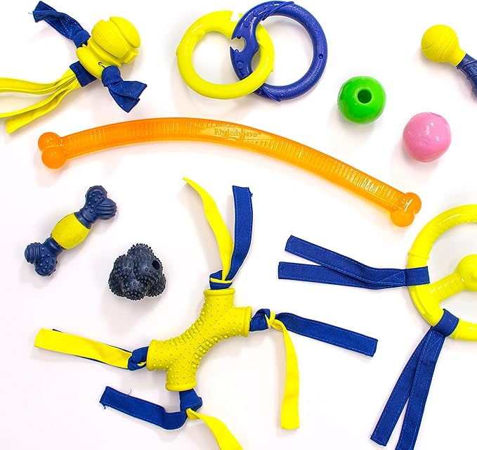 Nylabone Power Play Dog Fetch Toys Fling-a-Bounce Medium (1 Count)