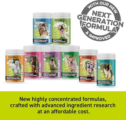 K9 Power Digest Forte - Premium Digestion & Immunity Supplement: Dog Digestive Support, Dog Probiotic Powder, Dog Probiotic Supplement to Improve Digestion and Nutrient Absorption, 1lb