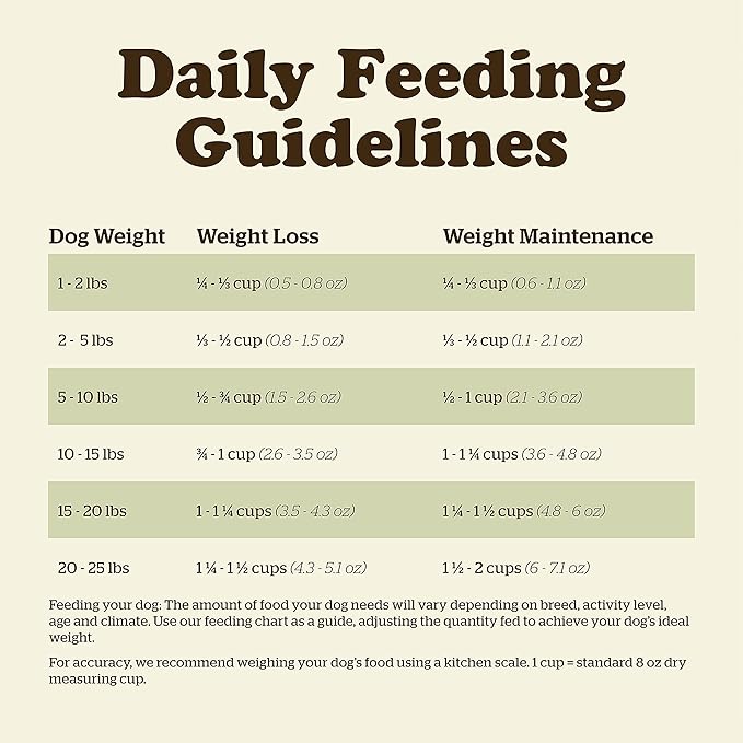 Now Fresh Grain Free Small Breed Dog Food, 3.5 lb - Dry Dog Food Senior Recipe - Healthy Diet with Probiotics & Real Meat & Fish for Protein
